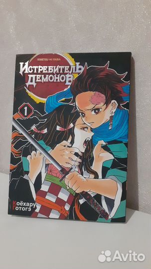 Манга, Истребитель Демонов 1 часть