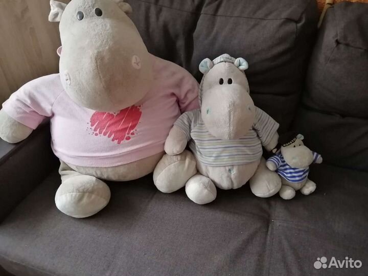 Бегемоты Orange