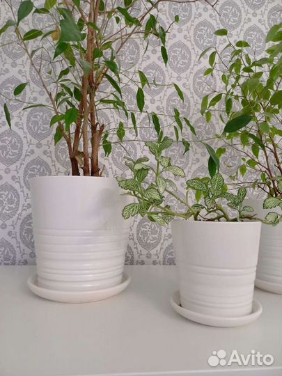 Горшки для цветов белого цвета IKEA