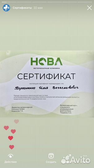 Ветеринарный врач на дом