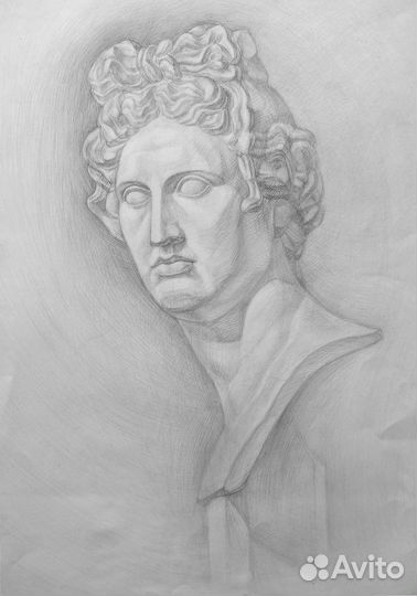 Академический рисунок голова Аполлона