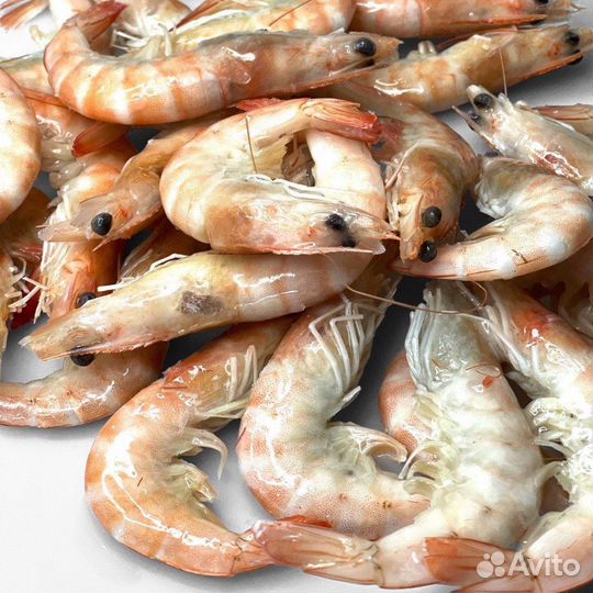 Креветка Ваннамей