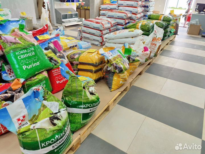 Поилка 10 литров