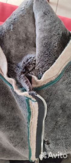 Дубленка натуральная женская