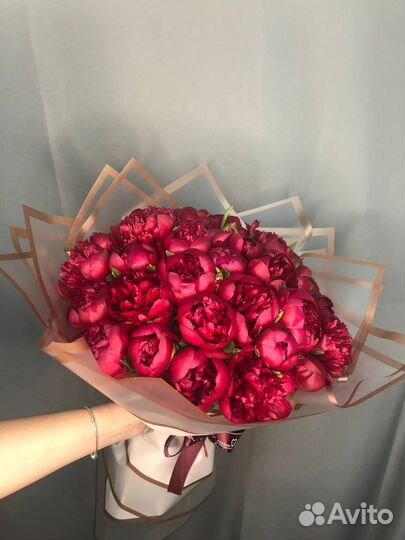 Букет из 35 бордовых пионов