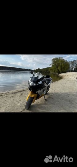 Yamaha YZF 600r thundercat