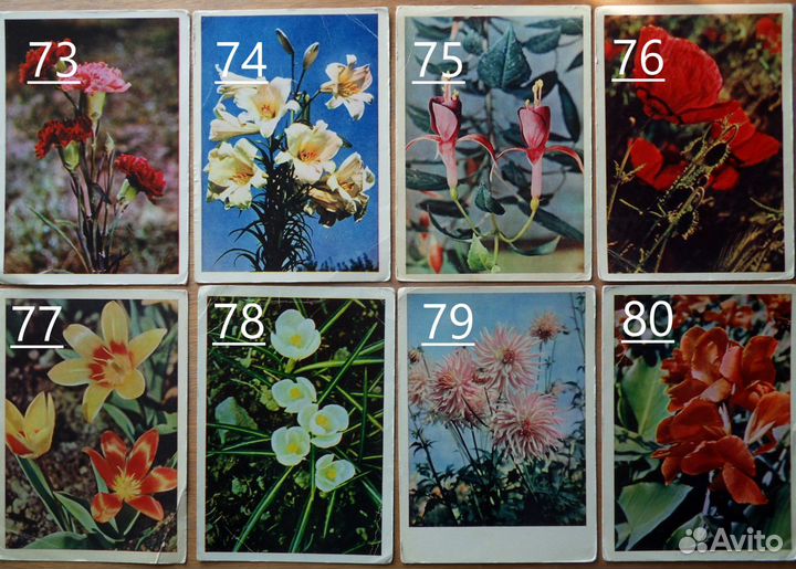 Старые (советские) открытки СССР. Цветы. 3