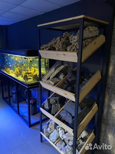 Студия Аквариумного дизайна Аква