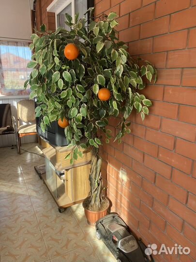 Искусстенное дерево