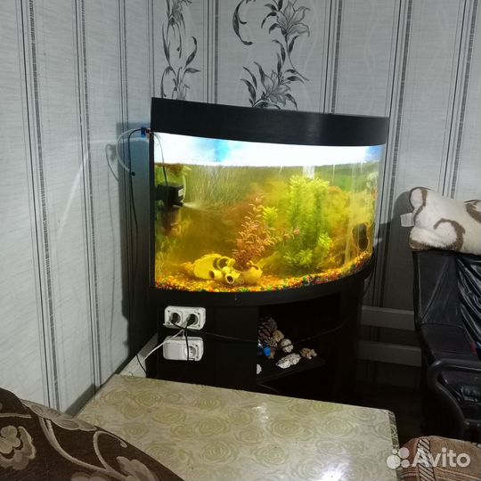 Аквариум угловой с тумбой