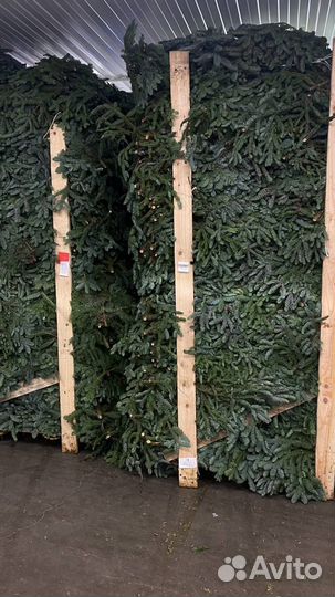 Нобилис опт и в розницу