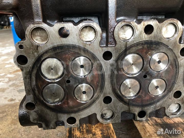 Головка блока цилиндров MAN TGX 2007 51031013460