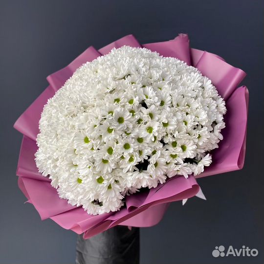 Букеты Хризантем (Доставка Цветов)