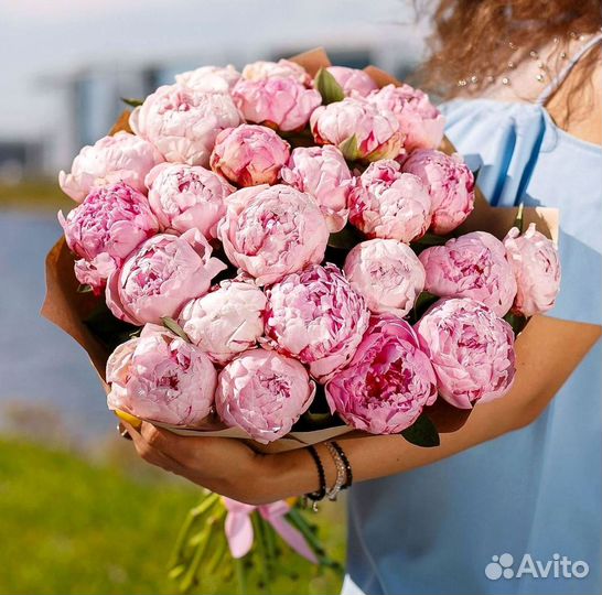 Пионы Цветы Доставка