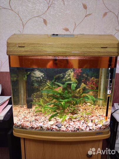 Аквариум Jebo R352