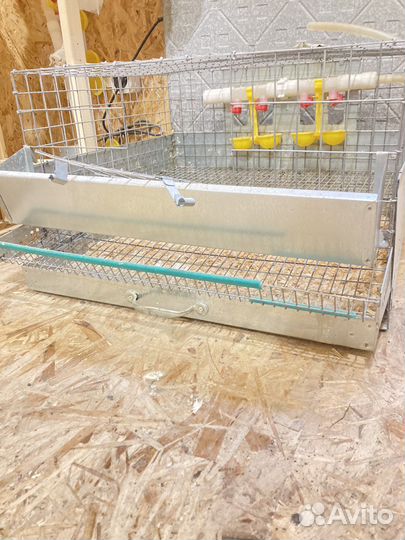 Клетки для перепелов бу