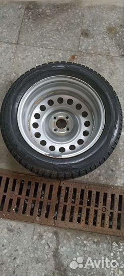 Nexen Winguard WinSpike 205/55 R16