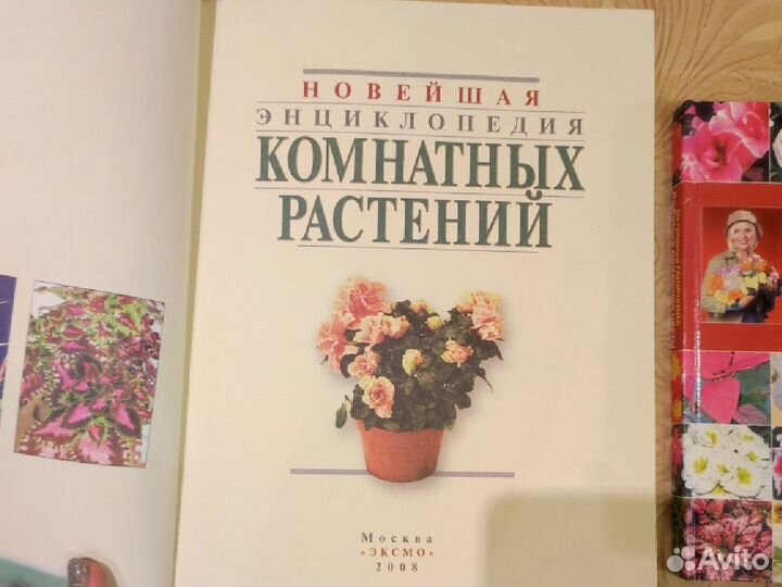 Новейшая энциклопедия комнатных растений