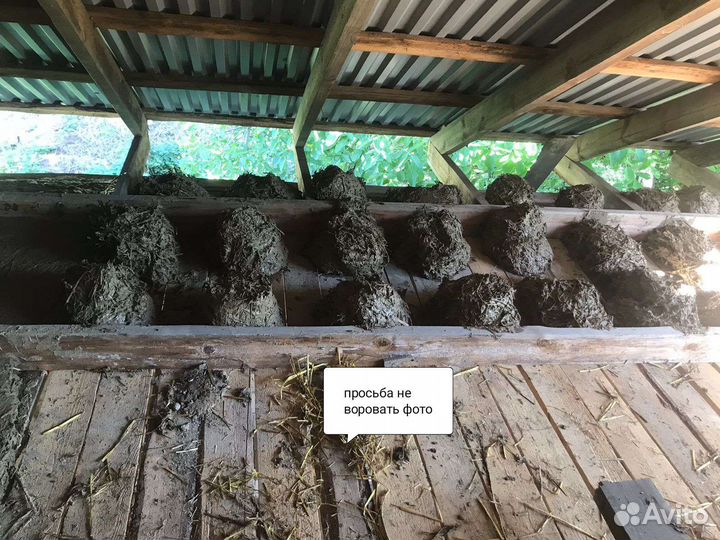 Поппар (глина)