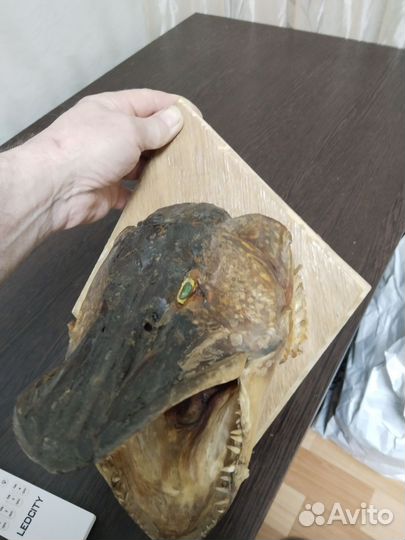 Рыбалка