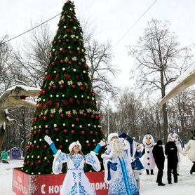 Большая Елка в торговый центр