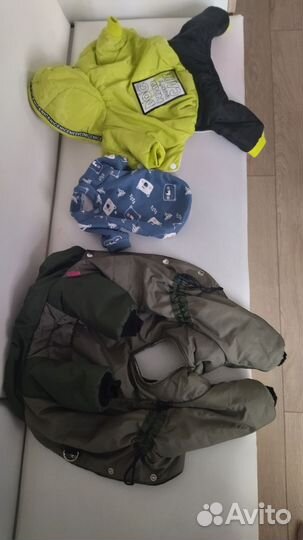 Одежда для собак мелких пород