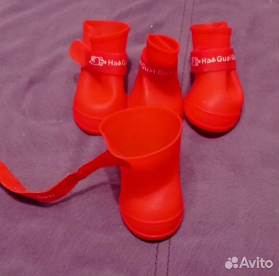 Вещи для маленьких собак