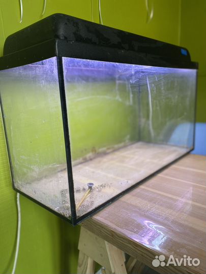 Аквариум
