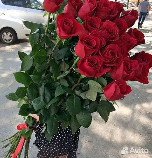 Высокие розы Гигантские розы Доставка цветов