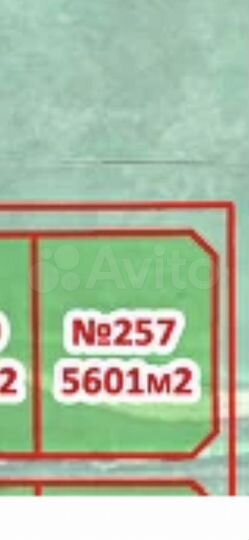 Участок 50 сот. (СНТ, ДНП)