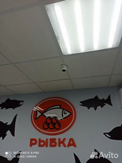 Интернет оборудование в загородный дом / сад