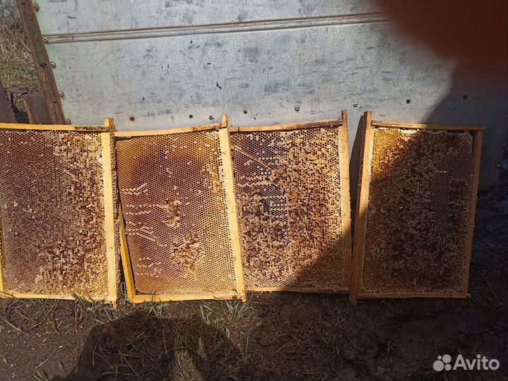 Сушь для пчел