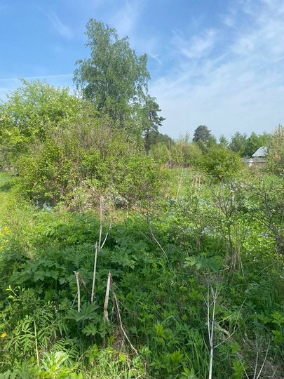 Участок 6,5 сот. (СНТ, ДНП)