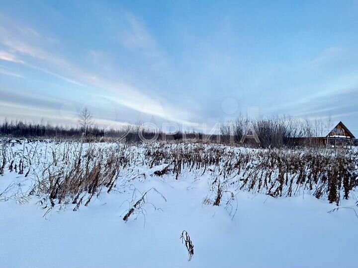 Участок 36 сот. (СНТ, ДНП)