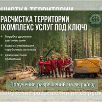 Расчистка участка, вырубка валка деревье, обрезка, Котельники