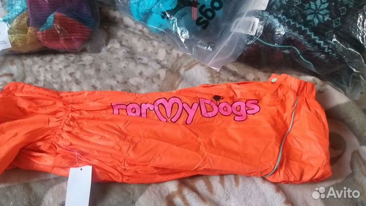 Куртки для Таксы