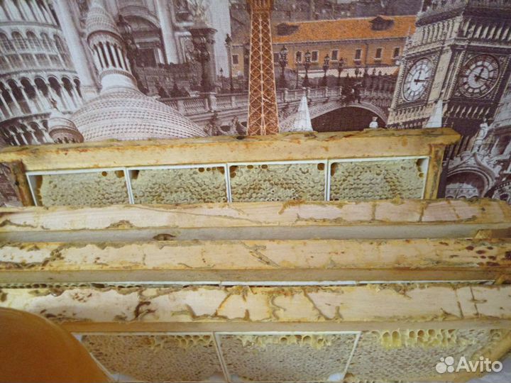 Продам мед 2023