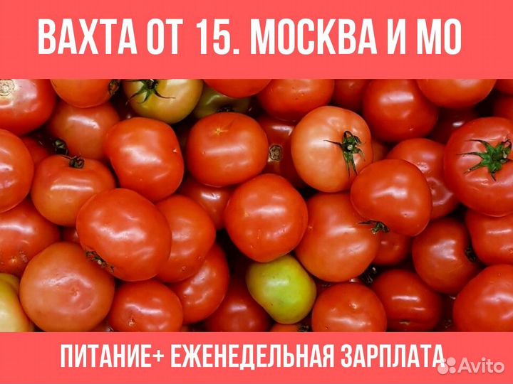 Сотрудник / работа в теплице / Вахта