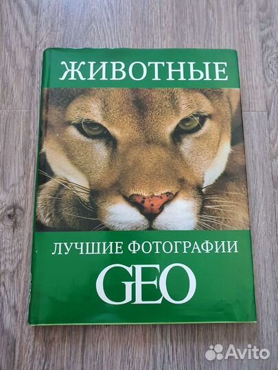 Животные: Лучшие фотографии GEO