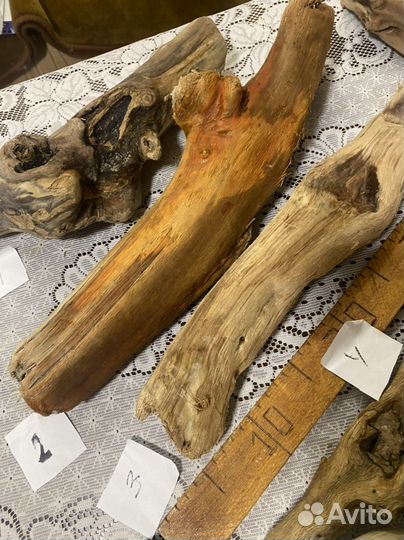 Дрифтвуд морские коряги