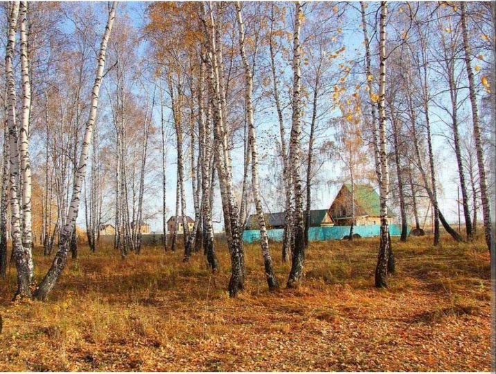 Участок 10 сот. (ИЖС)