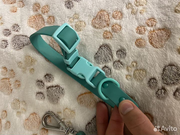 Поводок доя собак, ошейник для собак