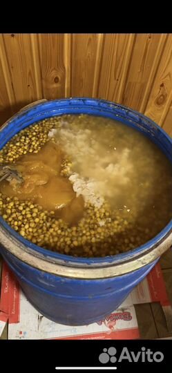 Ферментированная кукуруза