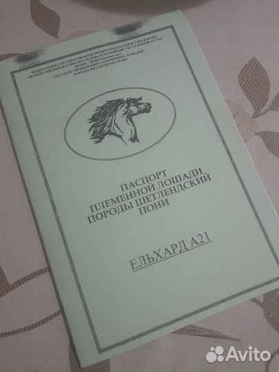 Племенной жеребец пони