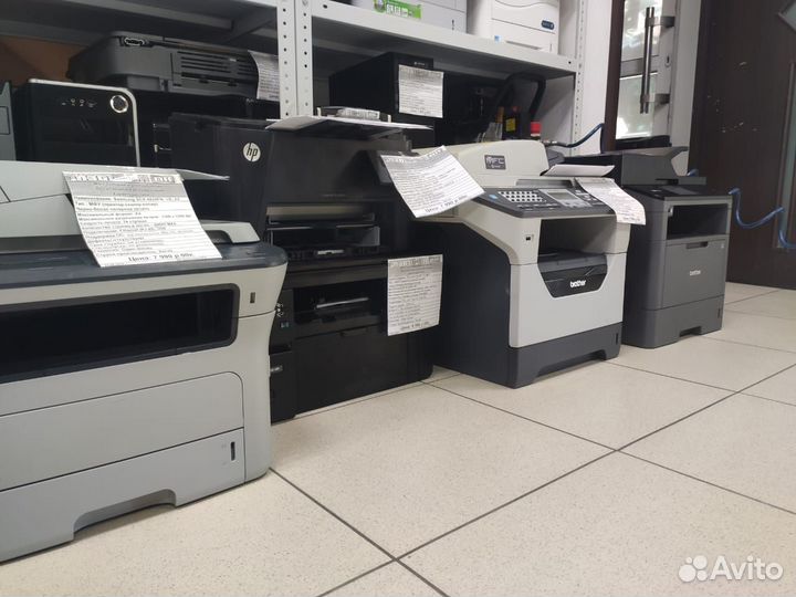 Принтеры и мфу для студента и школьника