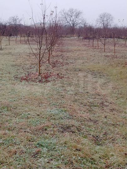 Дом 120 м² на участке 32 сот.