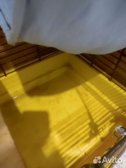 Клетка для хорька