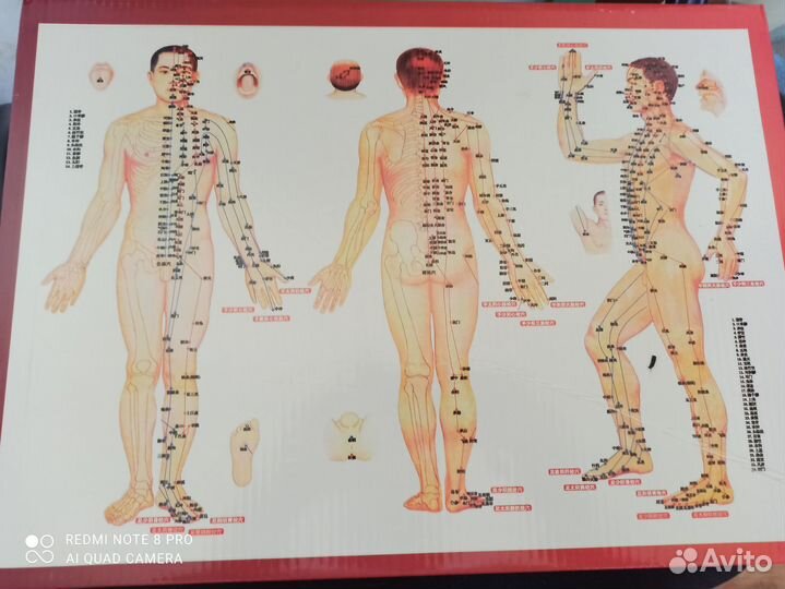 Массажные вакуумные банки