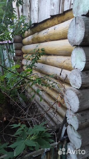 Постройка, сруб бани