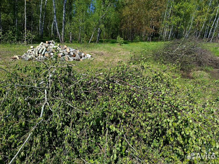 Аренда, услуга дробилки веток, измельчитель веток
